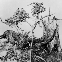 II-207 für M. S., 1984