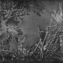 II-210 Der ungetreue Hirt, 1984/85