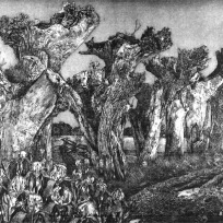 II-282 Begegnung (Bremer Iris), 1988