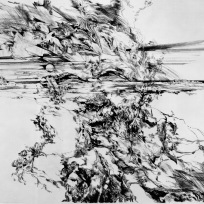 WV II-041 Rügen '74 (terra mater), 1974