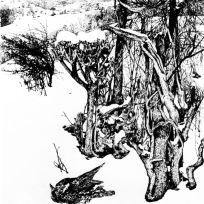 WV II-082 Winter in Thüringen, 1978