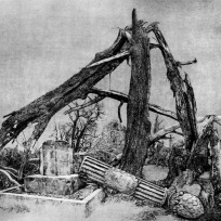 WV II-141 Nach dem Sturm IV, 1981