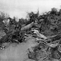 WV II-142 Nach dem Sturm V