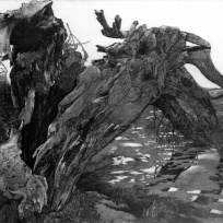 WV II-153 Nach dem Sturm VI, 1982