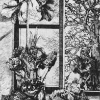 WV II-158 Frühling mit A. D., 1982